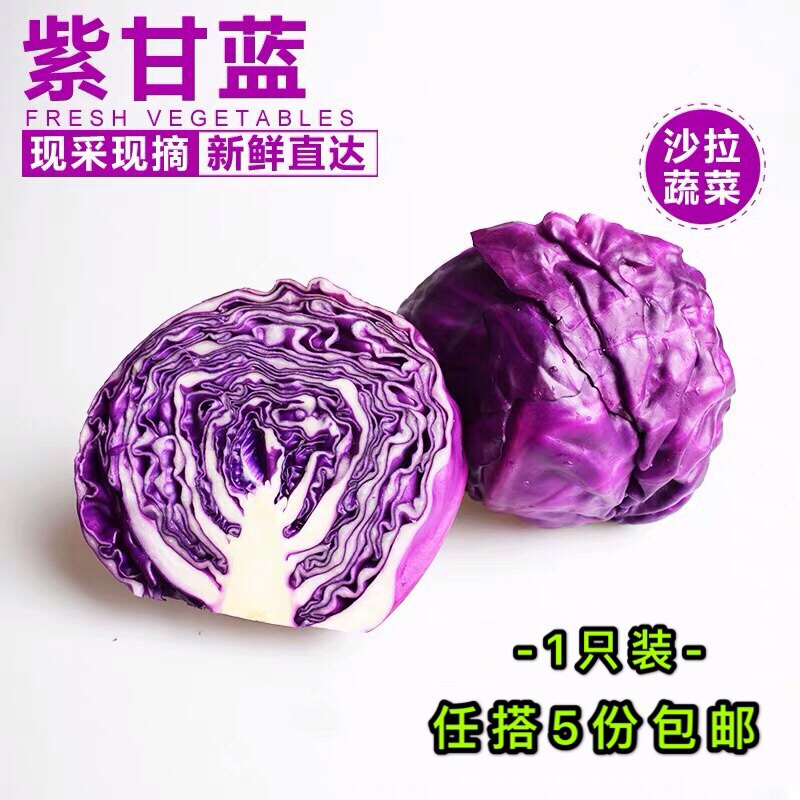 紫甘蓝 1000g 新鲜蔬菜紫包菜红椰菜西餐生菜沙拉食材任搭5份包邮|msdalam kategori daging perikanan/Buah-buahan segar dan sayur-sayuran/dimasak, sayur-sayuran segar/Vegetable Products, sayur-sayuran segar, lain - dari Buy2taobao.com untuk memberikan perkhidmatan ejen Taobao profesional membeli