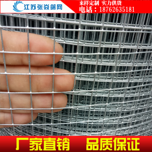 1.3cm孔热镀锌电焊网铁丝网鸡鸽兔笼网方孔网养殖网防护网防锈网