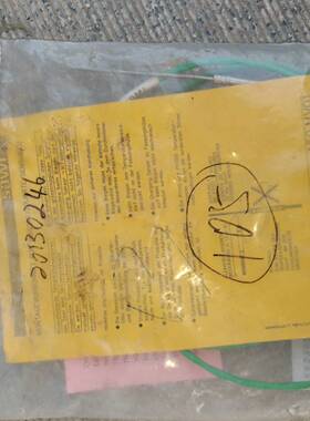 议价瑞士sAWI温度传感器SW154-1.5-60-1KI-S-