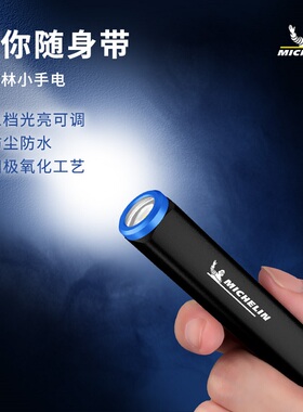 米其林迷你便携式手电筒M2221