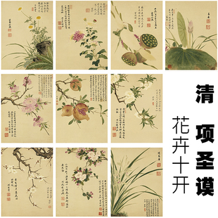 清 项圣谟 花卉十开纸本国画心芯绢布宣纸高清微喷打印复制定制