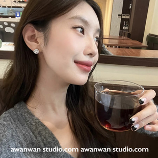 阿婉Wan 精致爆闪锆石耳钉高级感通勤百搭小众耳环冷淡风耳饰