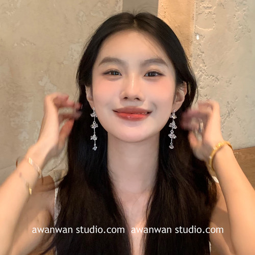 阿婉Wan 豪门千金！法式水晶流苏耳钉高级感气质显脸瘦小众耳饰
