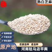 河南驻马店白芝麻新货带皮纯农家平舆原产地自种免洗500g