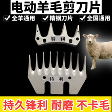 Ножницы 原装羊毛剪刀片特利精钢牧羊人电动羊毛剪 羊毛推子专用刀片刀片