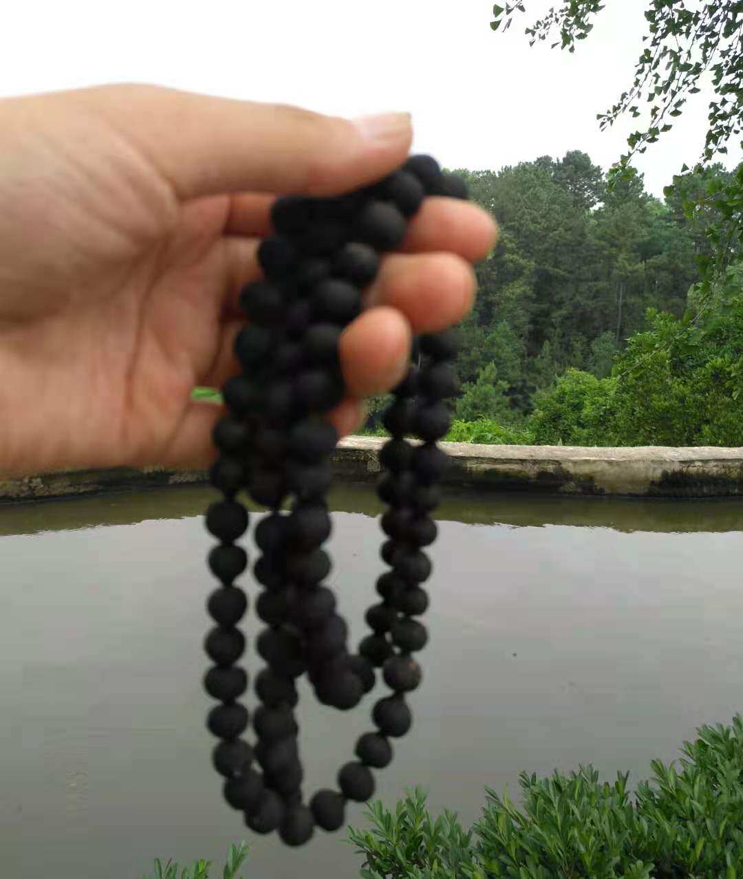 青皮子手串精品柑胎手链天然青皮子老树大红袍陈皮小青柑手镯佛珠