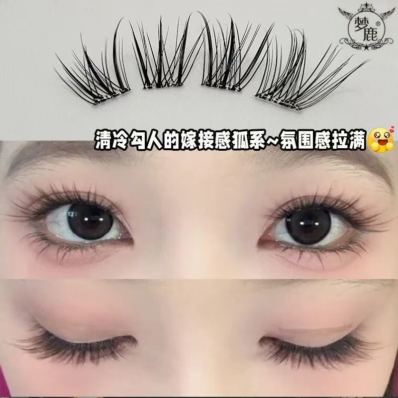 免胶青丘狐中式浓密斜飞