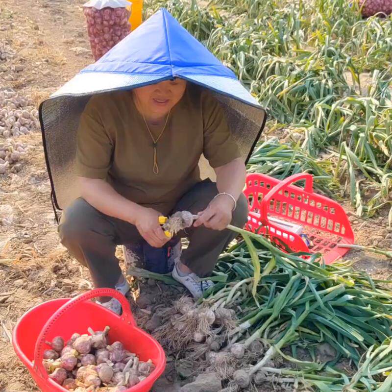 防晒遮阳采茶披风户外斗笠帽子防雨隔热一体农活插秧摘茉莉花尖顶