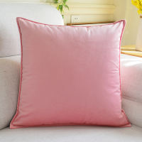Velvet throw pillow, a light luxury high-end living room sofa throw pillow, large bed pillow, custom cushion cover thumbnail 2