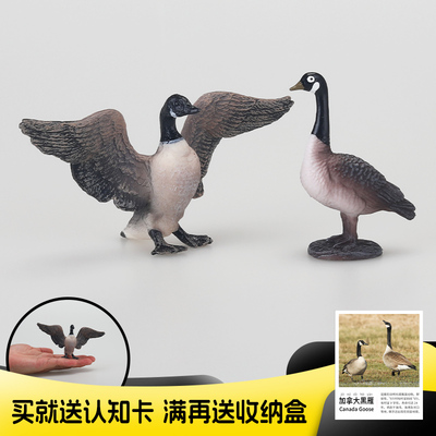 仿真实心动物模型玩具加拿大黑雁