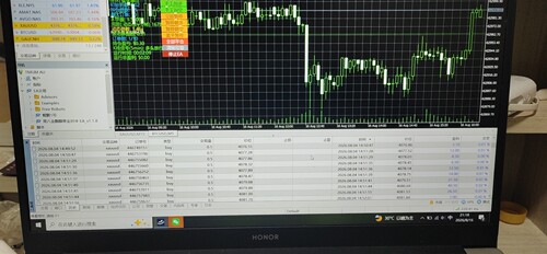mt5黄金量化