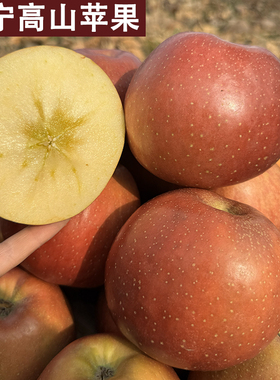 2025新鲜现摘贵州毕节威宁杨华苹果高山冰糖心丑苹果脆甜新鲜苹果