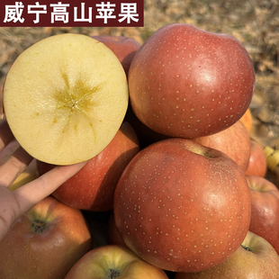 2025新鲜现摘贵州毕节威宁杨华苹果高山冰糖心丑苹果脆甜新鲜苹果