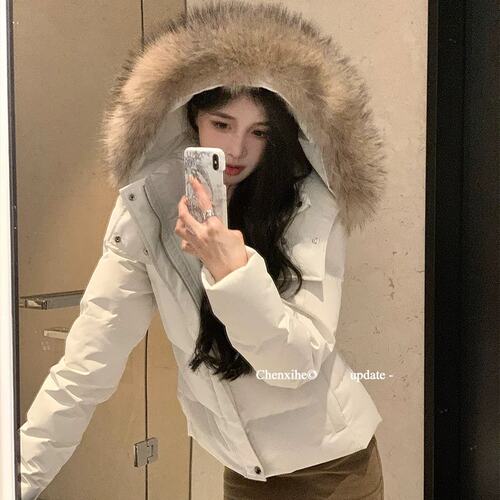 何晨曦 2026新款收腰版羽绒服女冬季短款白色修身貉子毛毛领外套