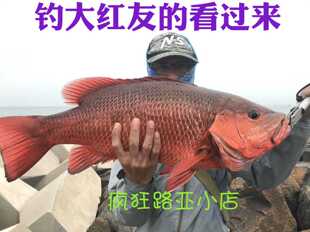 六倍加强铅头钩VMC六倍加强钩路亚石斑红友大根饵21克铅头钩