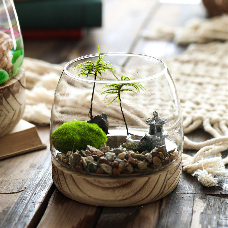 北欧花田 轻奢木托底桌面摆件小型鱼缸水培绿植鲜花花器微景观瓶,家居饰品,花瓶,淘宝优惠券,粉丝福利购,淘宝优惠卷
