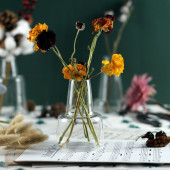 小清新日式 饰摆件水培插花器皿 禅意小口玻璃花瓶透明简约客厅装