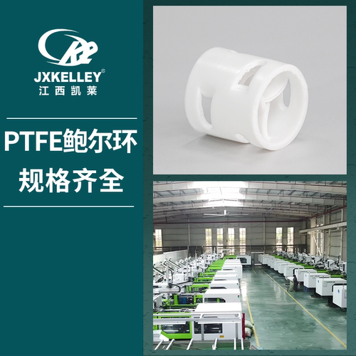 20*20*2mm四氟鲍尔环   4kg