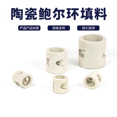 陶瓷鲍尔环填料废气塔净化喷淋塔冷却反应优质化工除尘25/38/50mm