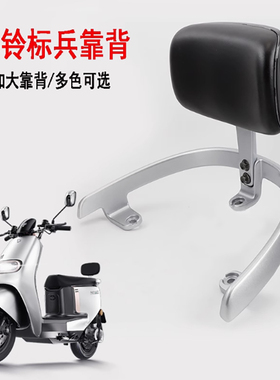 专用于台铃电动车标兵后靠背总成靠椅垫子TL1200DT-20D铝合金扶手