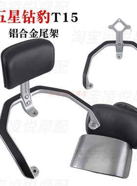 适用五星钻豹T15 绿佳N27电动车尾架后靠背尾翼货架扶手铝椅靠垫
