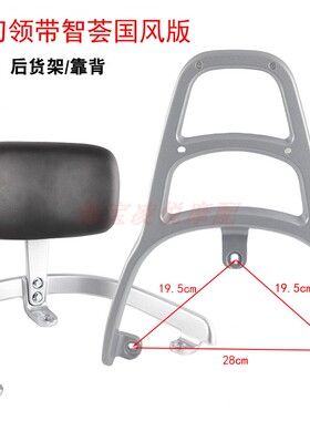 适用小刀领带智荟国风版电动车尾架靠背TDT24571Z尾箱货架后衣架