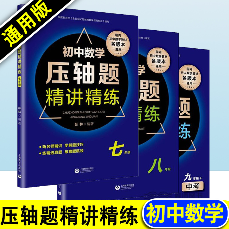 初中数学压轴题精讲精练七八九