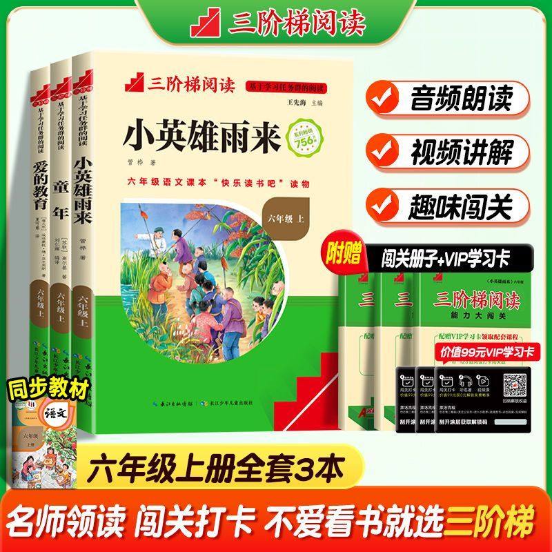 名校课堂三阶梯快乐读书吧六年级下册爱的教育 童年 小英雄雨来 鲁滨逊漂流记 汤姆索亚 长江少儿出版社 三阶梯阅读名著