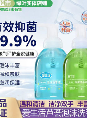 绿叶芦荟500ml温和泡沫型洗手液