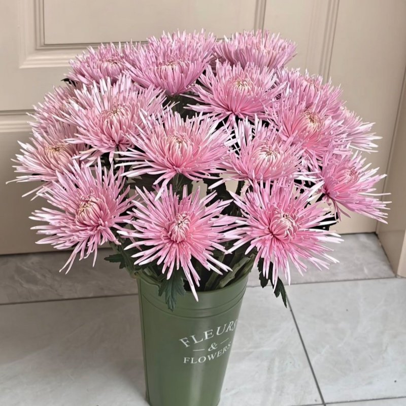 安娜菊鲜花线菊烟花菊10朵闪送