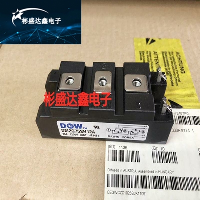 大卫 DM2G50SH6A DM2G50SH6N DM2G50SH12A DM2G75SH6N原装议价