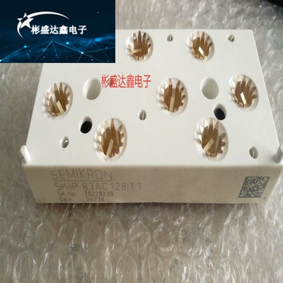 SKIIP82AC12IT10 SKIIP83AC128IT1 SkIIP82AC128IST1西门康现货