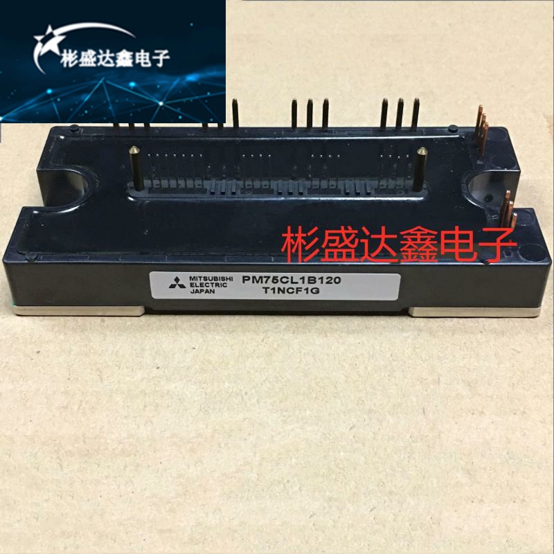 PM25RLB120 PM75RLB120 PM50RL1B120 PM100CL1B120 25RLB060
