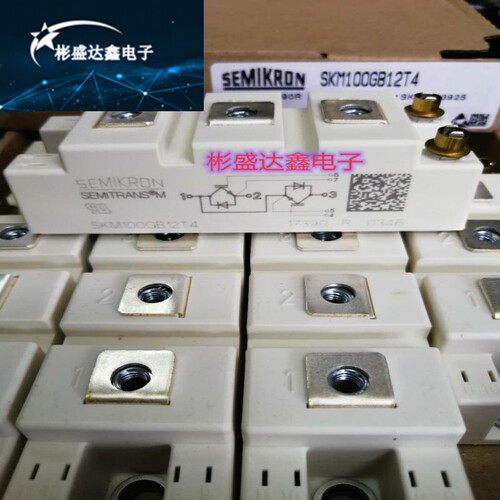SKM75GB12T4 SKM100GB12T4 SKM75GB128D SKM100GB128D 123D 124D