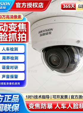 海康威视智能变焦摄像头人脸抓拍人车监控DS-2CD3746FWDA4/F-IZS
