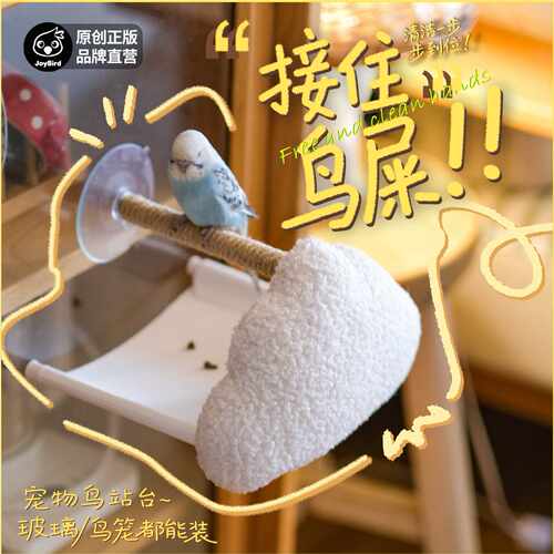 家用小型创意造型鸟玩具