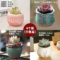 Succulent plant flowerpots, coarse earthenware green plant ceramic simple, individual and creative small flower pot sets for potted plants thumbnail 8