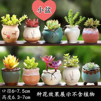 Succulent plant flowerpots, coarse earthenware green plant ceramic simple, individual and creative small flower pot sets for potted plants thumbnail 3