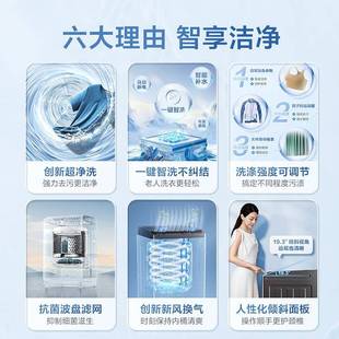 Lit.tleswan/小.天鹅TB10V27T家用租房波轮洗衣机10公斤洗脱一体