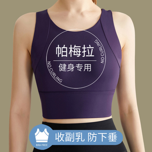 帕梅拉健身服女高强度防震大胸防下垂跑步运动内衣固定杯瑜伽文胸