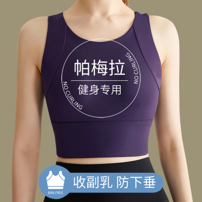 帕梅拉健身服女高强度防震大胸防下垂跑步运动内衣固定杯瑜伽文胸