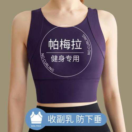帕梅拉健身服女高强度防震大胸防下垂跑步运动内衣固定杯瑜伽文胸