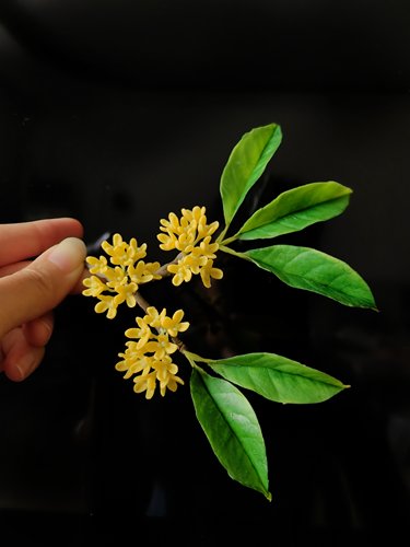 桂花发簪通草花汉服旗袍菁晏粘土