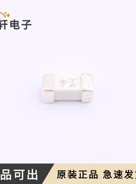 全新2410 T1A/250V原装SMD,6.2x2.5mm