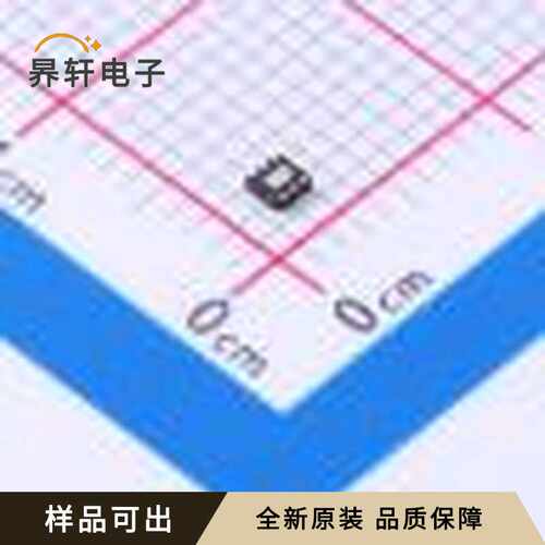 RT9069-33GQU原装全新UDFN-6-EP(1.6x