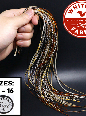 精选whiting银级公鸡蓑羽鞍羽 14-16号干式飞蝇专业绑制蓑毛材料