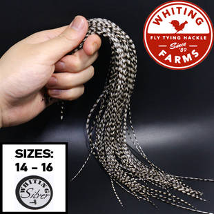 进口飞蝇钩绑制材料 美国公鸡蓑羽蓑毛 黑白条纹格里菲斯专用羽毛