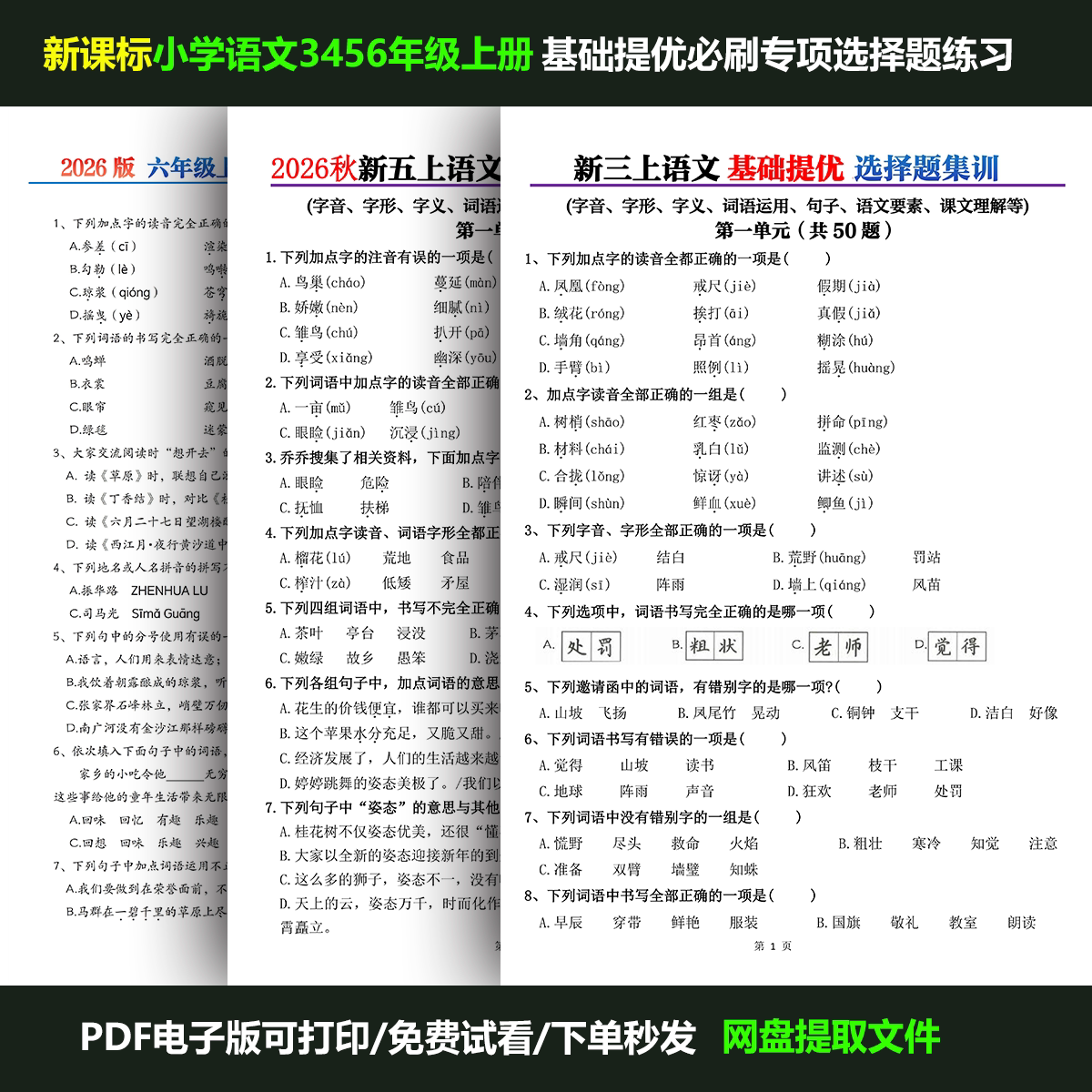 小学语文单元基础选择题练习PDF