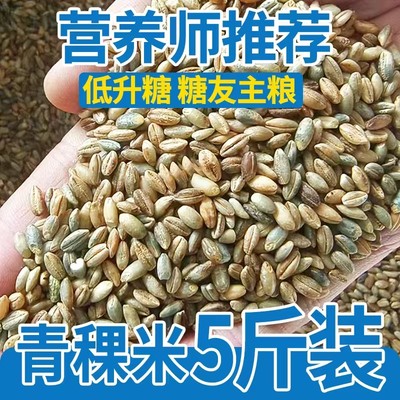 青海高原优质蓝青稞米5斤放送