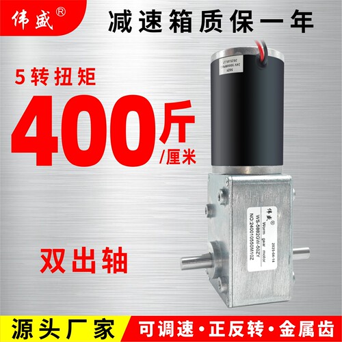 5882GW双轴涡轮蜗杆直流减速电机